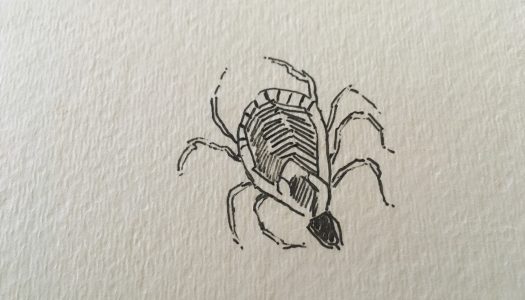 Tick Thinking