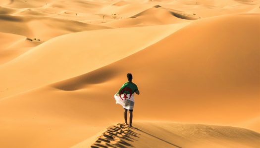 Nomadic // Proletarians