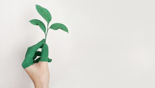 The Greening of Hegel