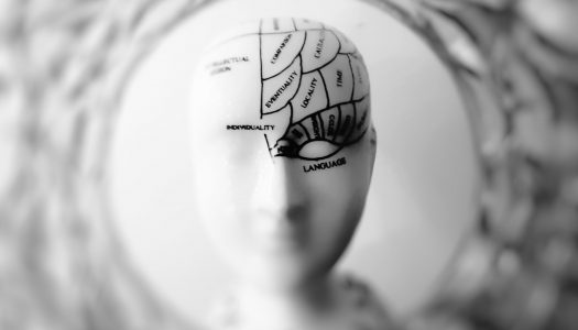 Interview with René Descartes On COVID-19 Interview with René Descartes On COVID-19