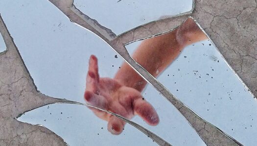 Five Ethico-Political Fragments