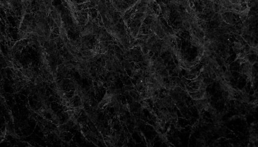 Hannah Arendt and Joseph Biden Debate Zionism Hannah Arendt and Joseph Biden Debate Zionism