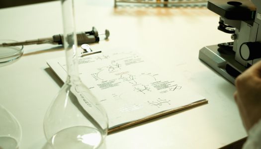 Science without ‘Science’: The Cultural Fragility of Scientific Authority